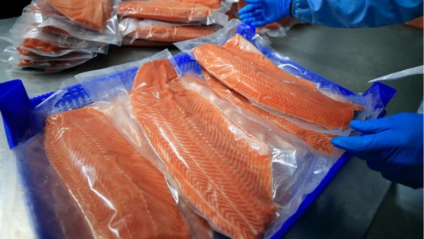Türk somonu ihracatı 152 milyon doları aştı
