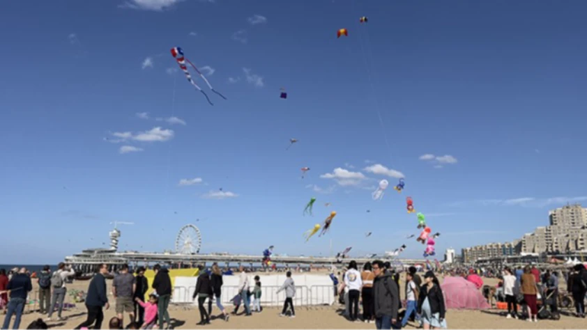 Türk Uçurtma Takımı Çin'de 2 altın madalya kazandı