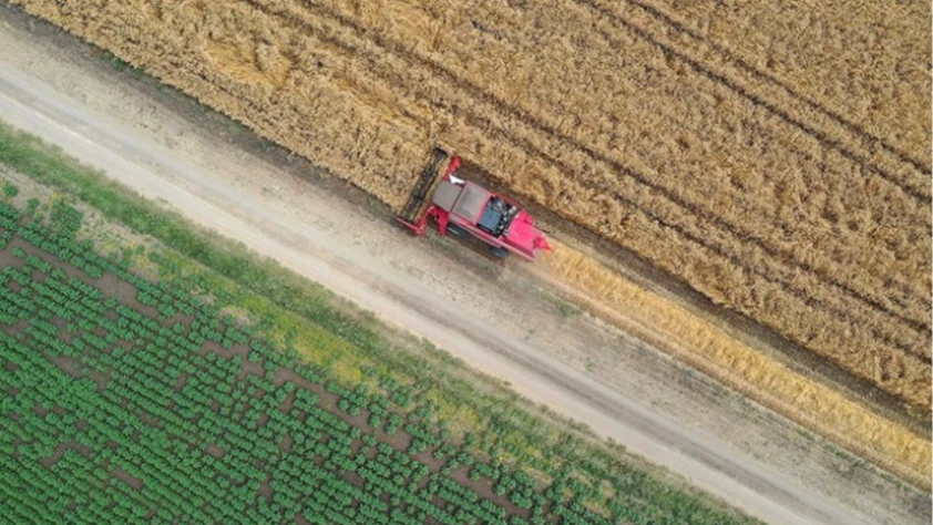 Türkiye’de tarımda 2025 panoraması: Kuraklık ve don riskine rağmen dönüşüm hızlandı