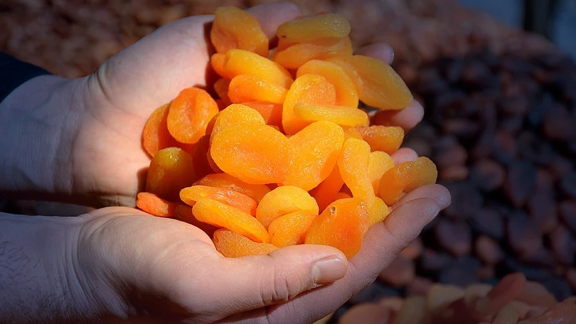 Türkiye’den 150 ülkeye kuru meyve ihracatı 1,74 milyar dolara ulaştı