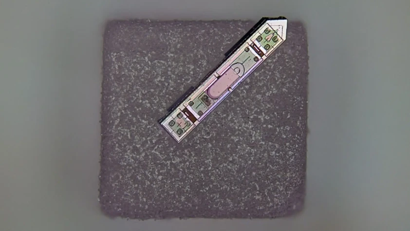 Tuz tanesi büyüklüğünde implant: Bir yıllık beyin aktivitesini kaydediyor