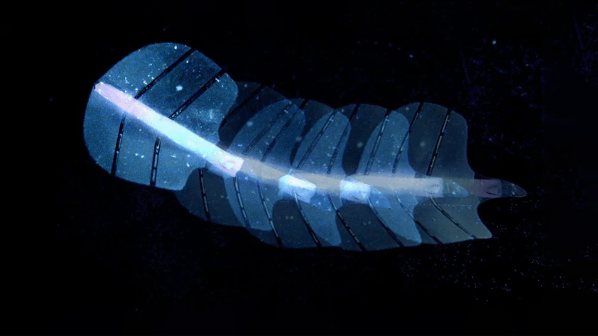 Ultrasonla çalışan yapay kaslar geliştirildi: Robotik ve tıpta yeni dönem