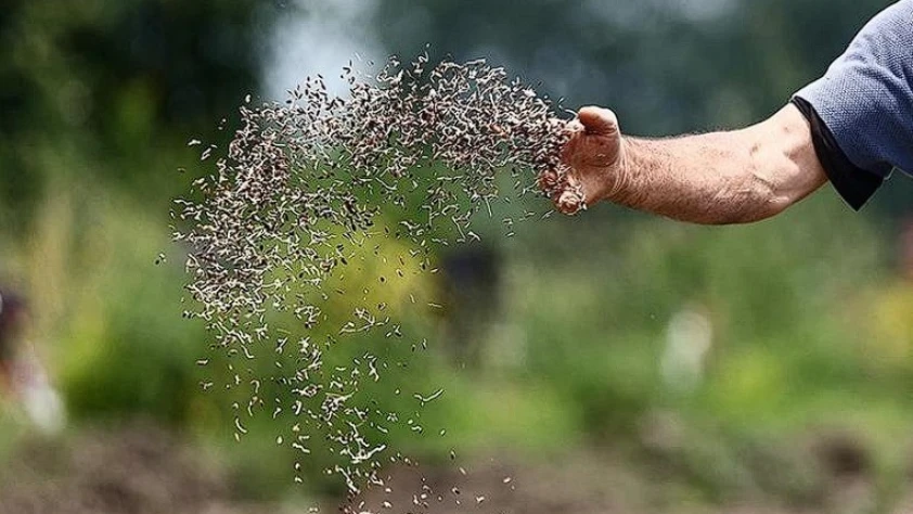 Üreticilere kritik uyarı: Kayıt dışı tohum verim kaybına yol açıyor