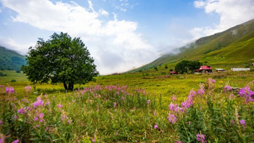 Uygun bilet fiyatları tatilcilerin rotasını Karadeniz’e çevirdi