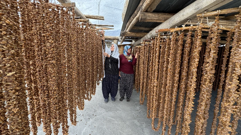 Üzüm bulamacı ve cevizden üretilen orcikin yapım zamanı geldi