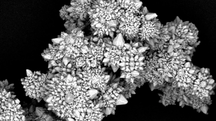 Yakıtsız uçan mikromotorlar geliştirildi: Işık gücüyle hareket ediyor