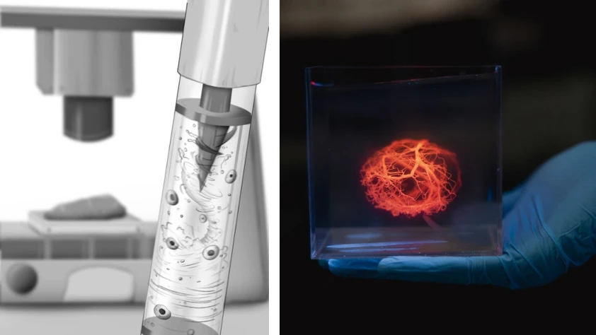 Yapay doku üretimine manyetik dokunuş: Homojen 3D baskı