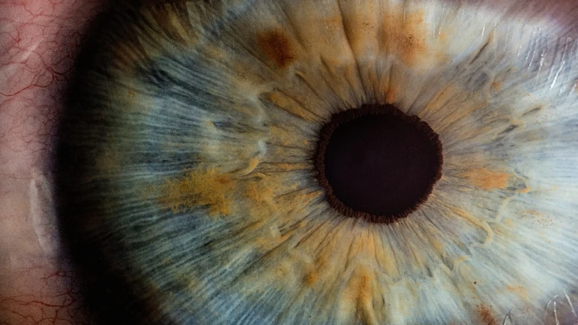 Yapay retina implantı kör gözlere görme yetisi kazandırıyor