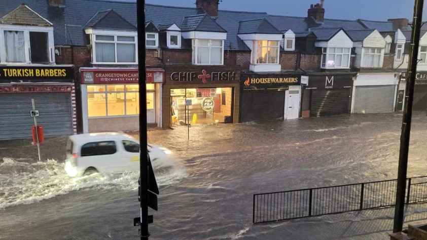 Yapay zeka selden korunmaya yardımcı olabilir mi?