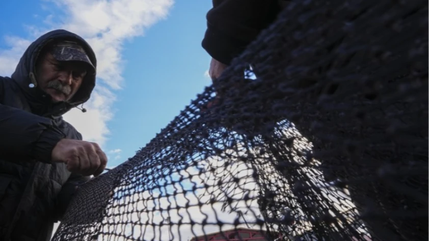 Yarısı tamamlanan av sezonunda hamsi ve sardalya yüz güldürdü