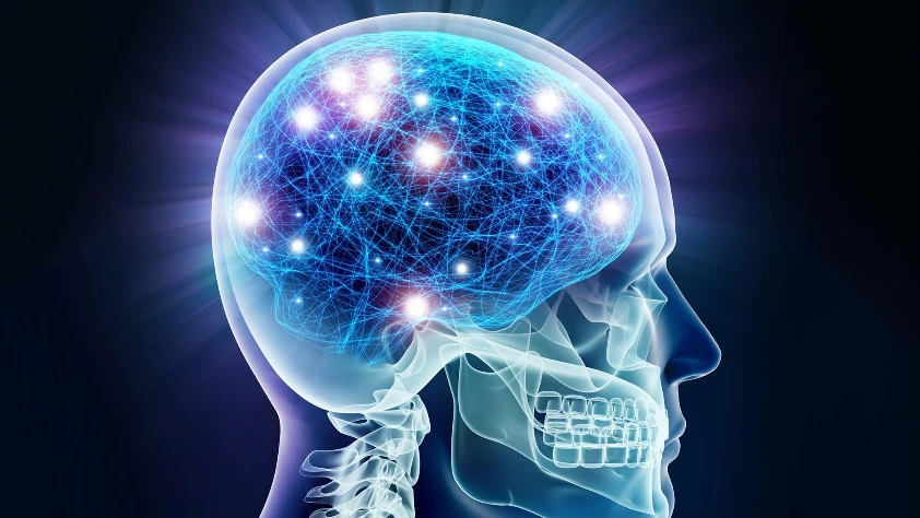 Yaşlanan beyni yenileyen 'Moleküler anahtar' keşfedildi