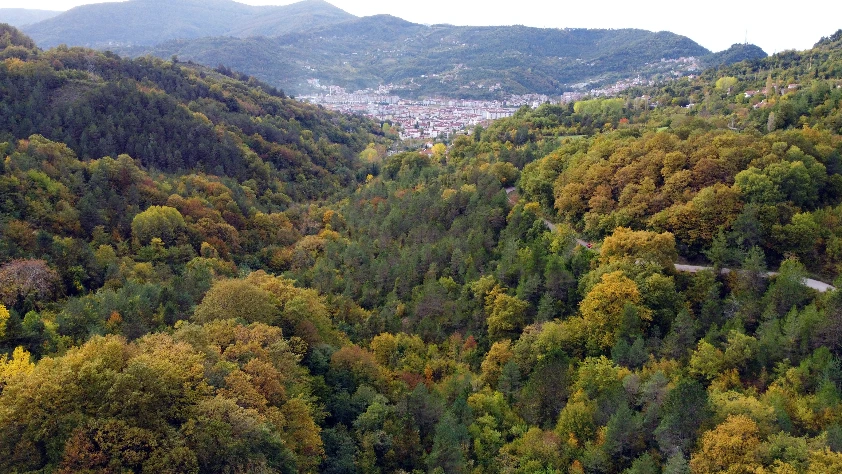 Yazdan kalma havalar Sinop'ta devam ediyor!