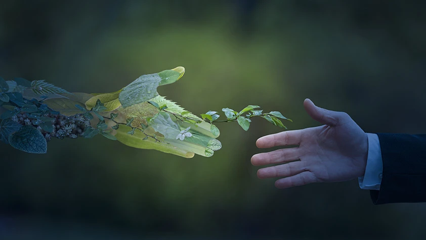 Yeşil dönüşümde kritik yıl! AB yumuşattı Türkiye yeni eşikte