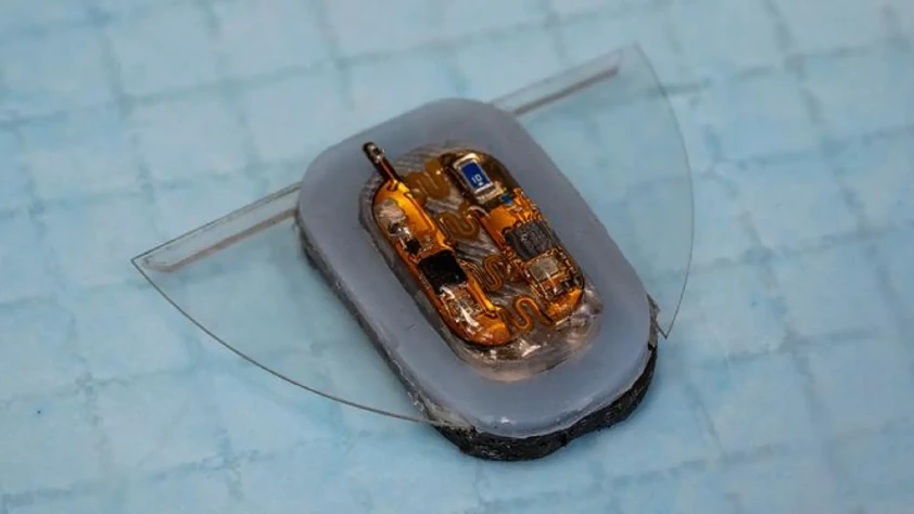 Yumuşak robotlarda enerji sorunu manyetik alanla çözüldü