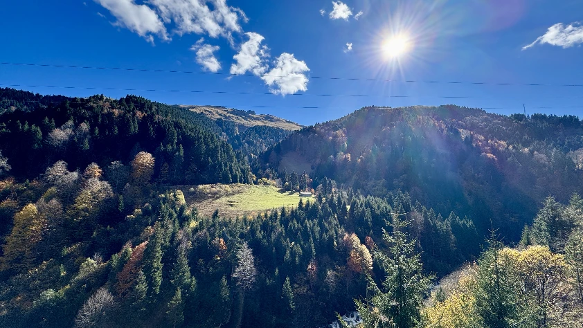 Zigana Dağı son baharla renklendi