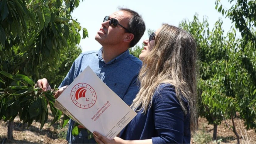 Zirai Don Olayı Araştırma Komisyonu taslak raporunu tamamladı