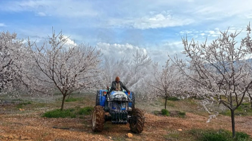 Zirai donun ardından bu yıl kayısı için ilaçlama mesaisi başladı