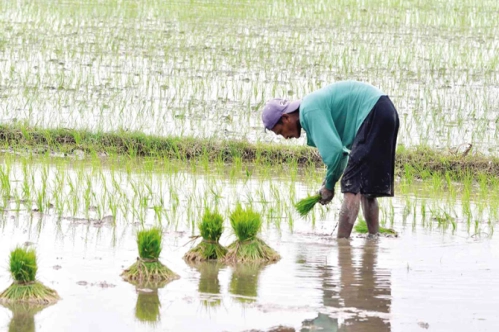 Emtiada El Nino fırtınası Emtiada El Nino fırtınası