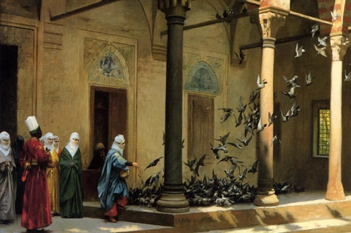 Bu şehirde kuşların bile evi var Bu şehirde kuşların bile evi var