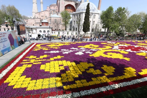 Meydanı lale bahçesine çeviren halı Meydanı lale bahçesine çeviren halı
