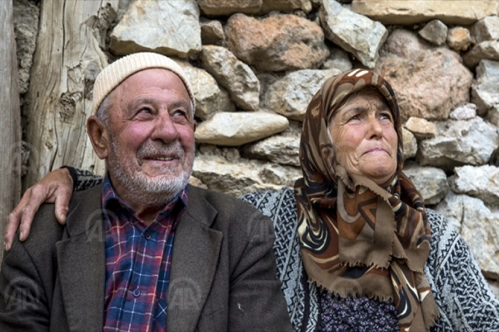 Türkiye’de 5 bin 293 ‘asırlık çınar’ var Türkiye’de 5 bin 293 ‘asırlık çınar’ var