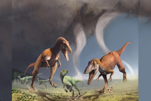 Arjantin’de yeni bir dinozor türü keşfedildi Arjantin’de yeni bir dinozor türü keşfedildi