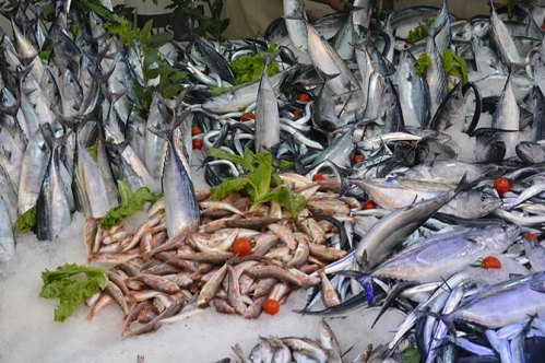 Umman, balık tutacak girişimci arıyor Umman, balık tutacak girişimci arıyor