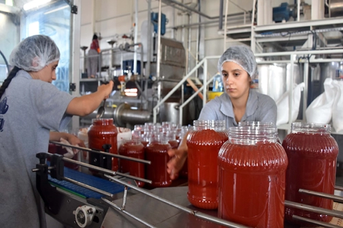Salçadaki katkı maddesinde geçiş süresi uzadı Salçadaki katkı maddesinde geçiş süresi uzadı