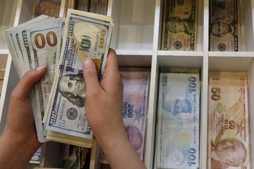 Kur riskine karşı sigorta kalkanı Kur riskine karşı sigorta kalkanı