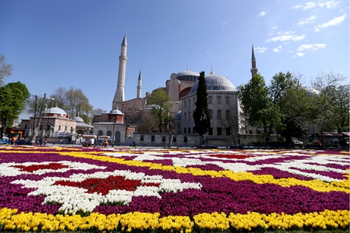 1453 onuruna 1453 metrekarelik lale halısı 1453 onuruna 1453 metrekarelik lale halısı