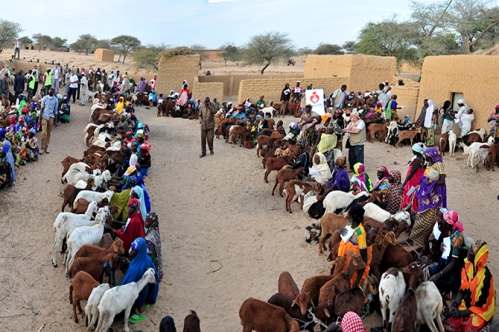 12 yıldır Afrika’ya uzanan ‘gönüllü’ el 12 yıldır Afrika’ya uzanan ‘gönüllü’ el