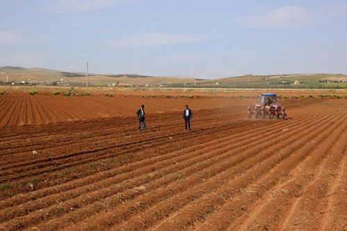 Avrupa’dan gelip kırsal alana yatırım yapıyorlar Avrupa’dan gelip kırsal alana yatırım yapıyorlar