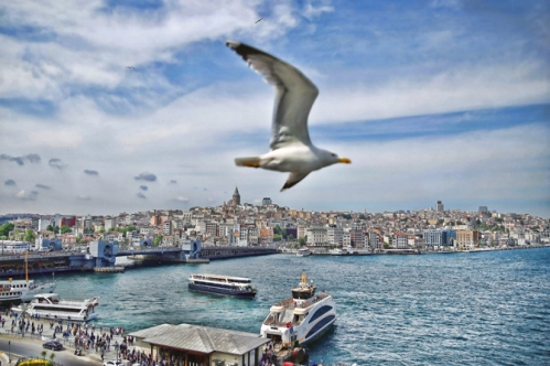 İstanbul'un resmi web sitesi 'howtoistanbul'dan yeni hizmet İstanbul'un resmi web sitesi 'howtoistanbul'dan yeni hizmet