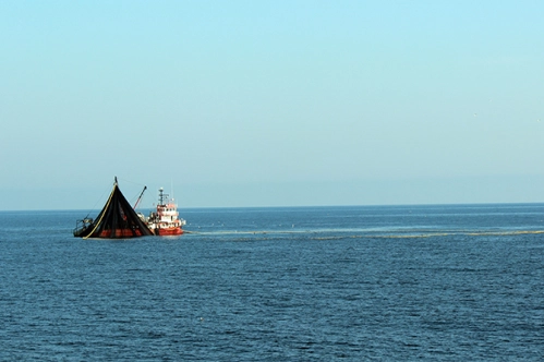 Deniz soğudukça tezgah ısınacak Deniz soğudukça tezgah ısınacak