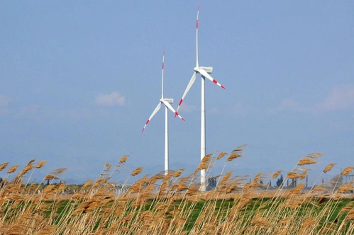 ‘Rüzgarın’ elektrik üretimindeki payı yüzde 10'a çıkacak ‘Rüzgarın’ elektrik üretimindeki payı yüzde 10'a çıkacak