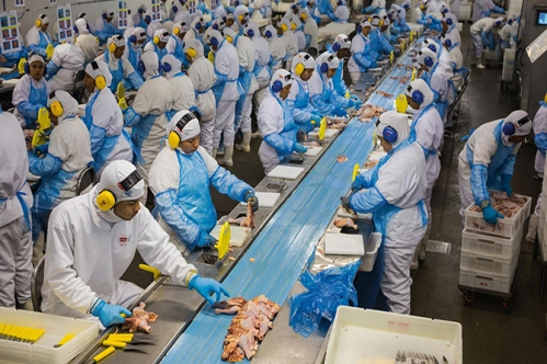 Japon gıdalara radyasyon kontrolü kaldırıldı Japon gıdalara radyasyon kontrolü kaldırıldı