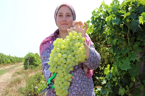 Kırsalda 10 projeden 1’i kadına ait Kırsalda 10 projeden 1’i kadına ait