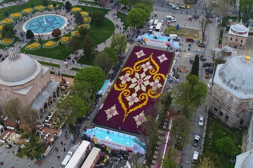 565 bin lale ile yapılan dünyanın en büyük halısı 565 bin lale ile yapılan dünyanın en büyük halısı
