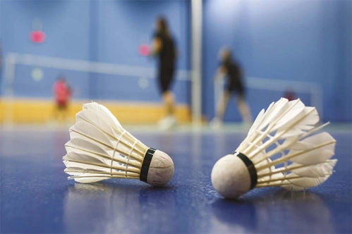 Para-badmintonda 11 madalya aldık Para-badmintonda 11 madalya aldık