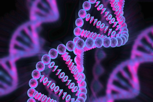 Bilgiler artık DNA’da saklanacak Bilgiler artık DNA’da saklanacak