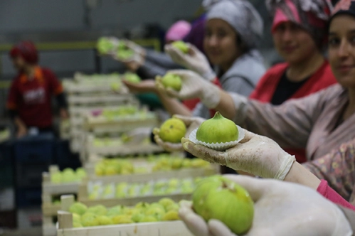 İhracatta 2.8 trilyon dolarlık rota İhracatta 2.8 trilyon dolarlık rota