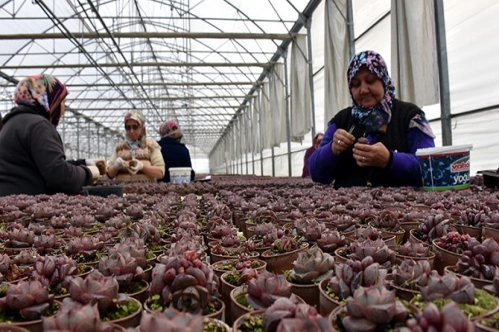 Kırsal kalkınmaya 100 bin TL hibe Kırsal kalkınmaya 100 bin TL hibe