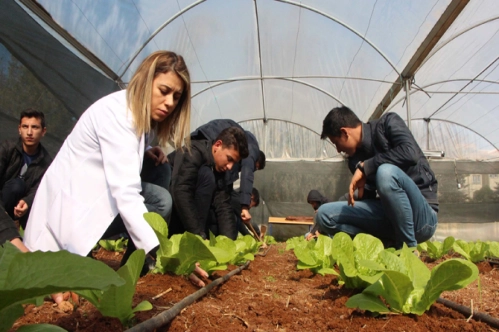 Kırsala 98 milyon Euro destek Kırsala 98 milyon Euro destek