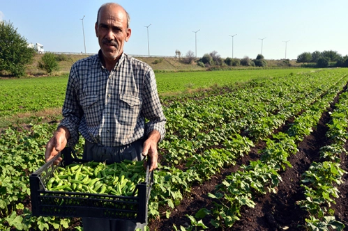 Tarım için şura düzenlemesi Tarım için şura düzenlemesi
