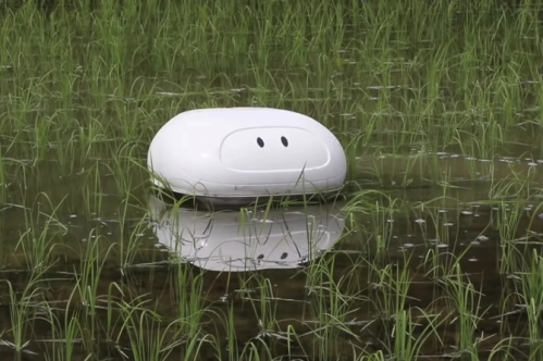 Tarlalara robot ördek geliyor Tarlalara robot ördek geliyor