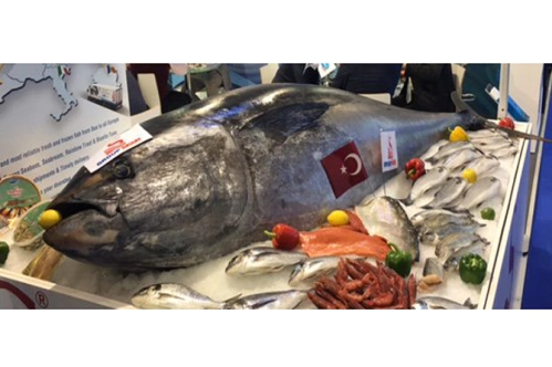 Seafood Expo’ya başvuruiçin son gün 29 Ağustos Seafood Expo’ya başvuruiçin son gün 29 Ağustos