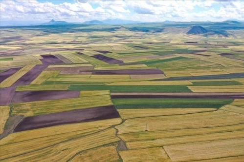 Arsa satışları geçen yıla oranla yüzde 20 arttı Arsa satışları geçen yıla oranla yüzde 20 arttı