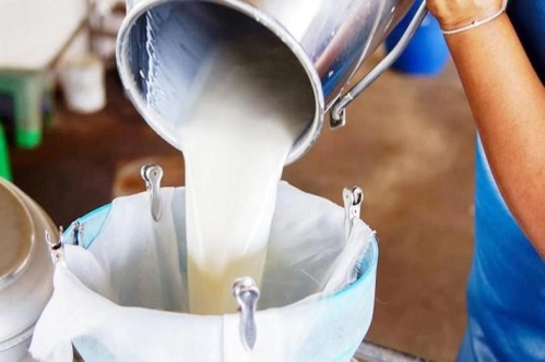 Çiğ süt tavsiye fiyatına litre başına 30 kuruş destek verilecek Çiğ süt tavsiye fiyatına litre başına 30 kuruş destek verilecek