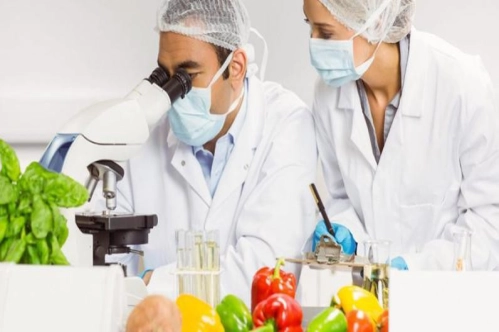 101 İTO üyesine gıdada güven sertifikası 101 İTO üyesine gıdada güven sertifikası