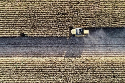 Kırsal kalkınmaya bugüne kadar 26,5 milyar liralık hibe Kırsal kalkınmaya bugüne kadar 26,5 milyar liralık hibe